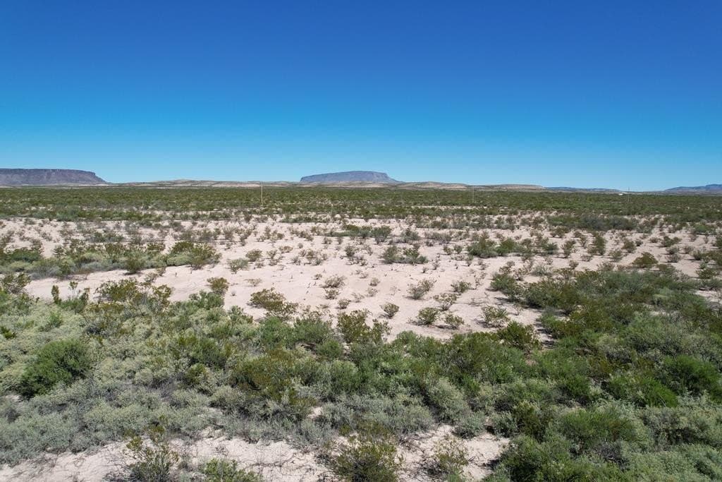 245.53 acres in Brewster County - photo 8