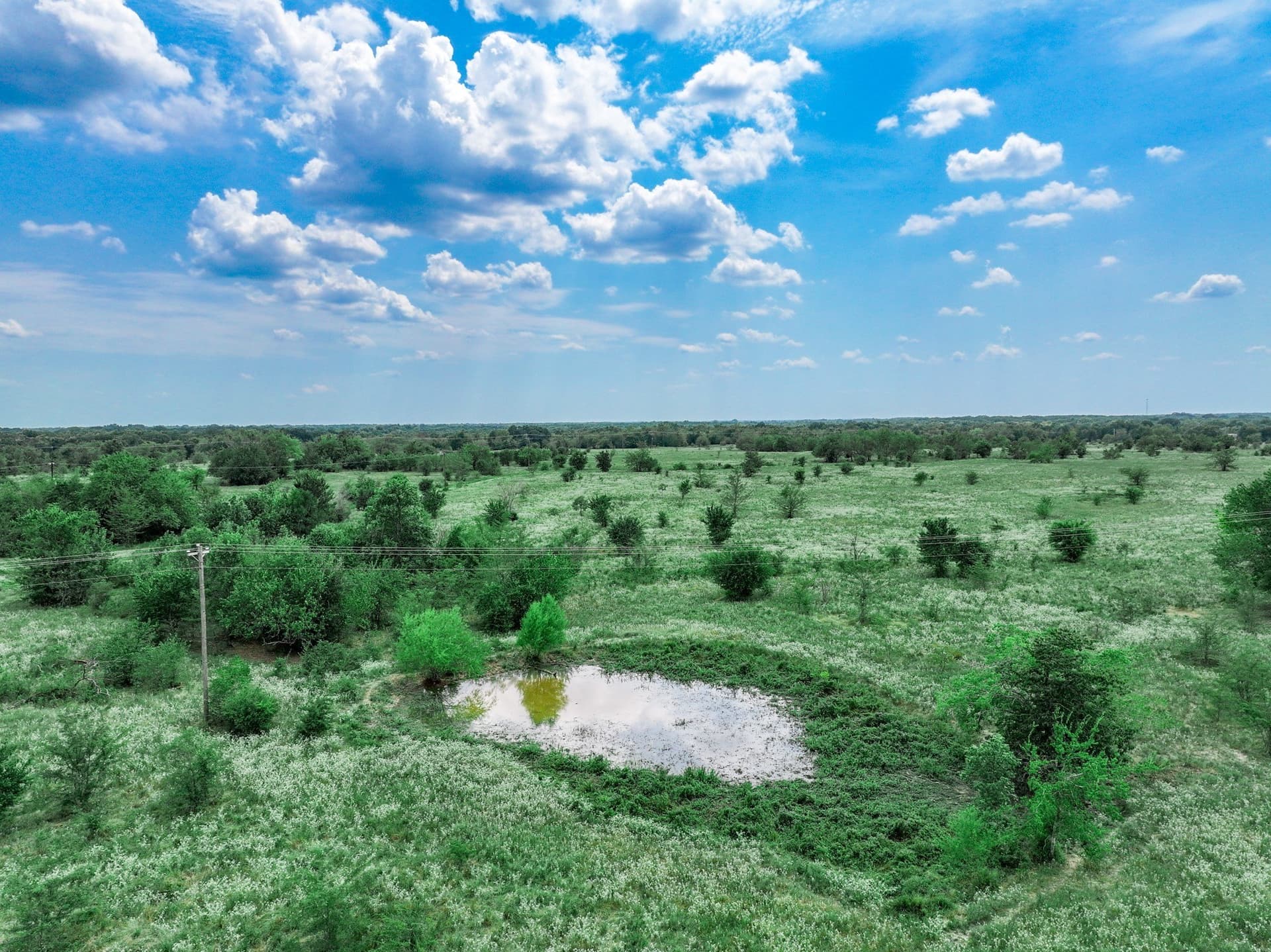 125 acres in Franklin (TX) County - photo 16