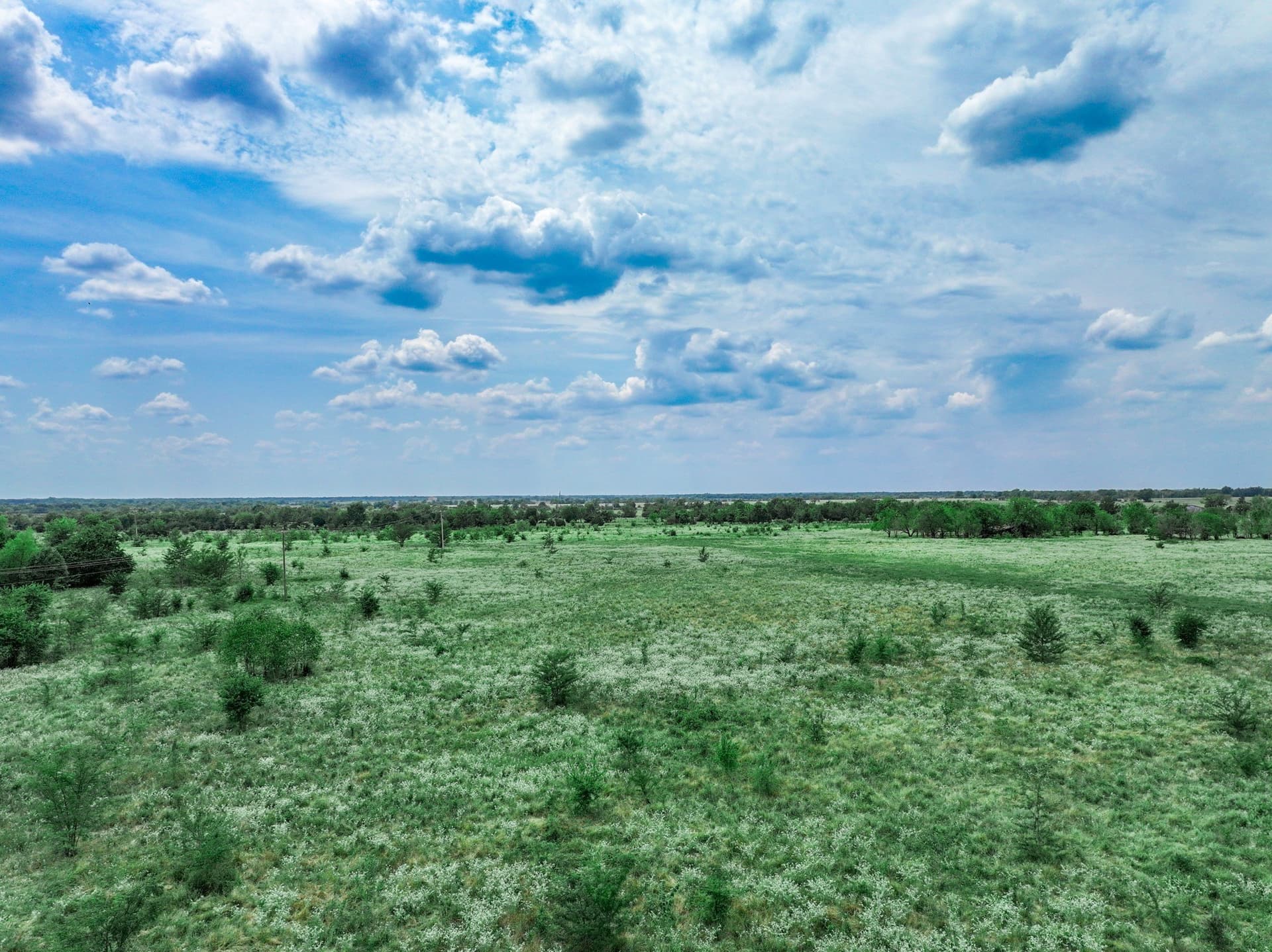 125 acres in Franklin (TX) County - photo 15