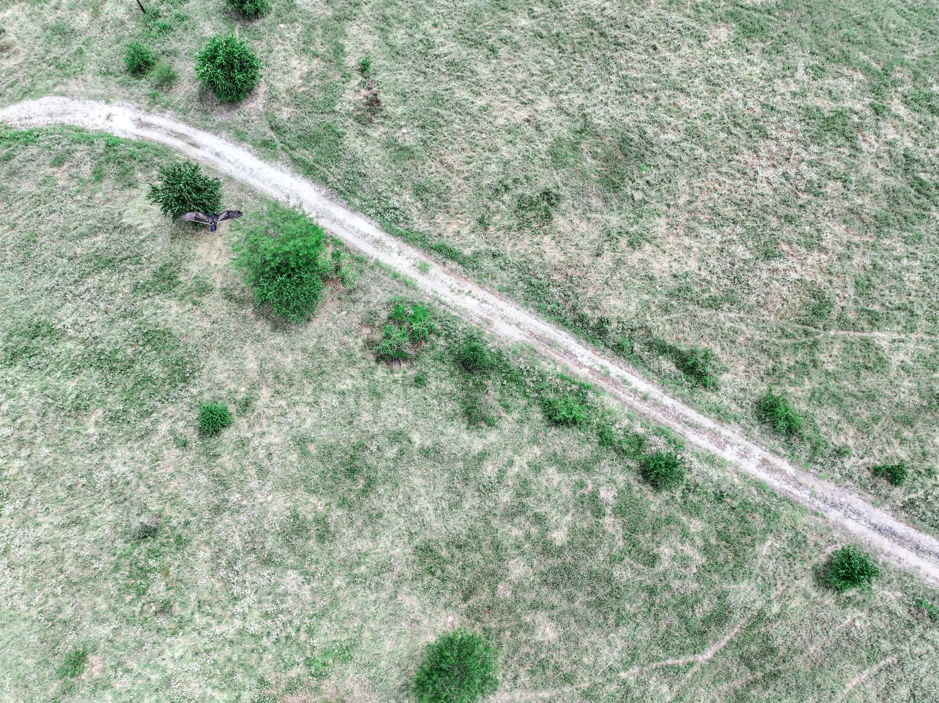 125 acres in Franklin (TX) County - photo 13