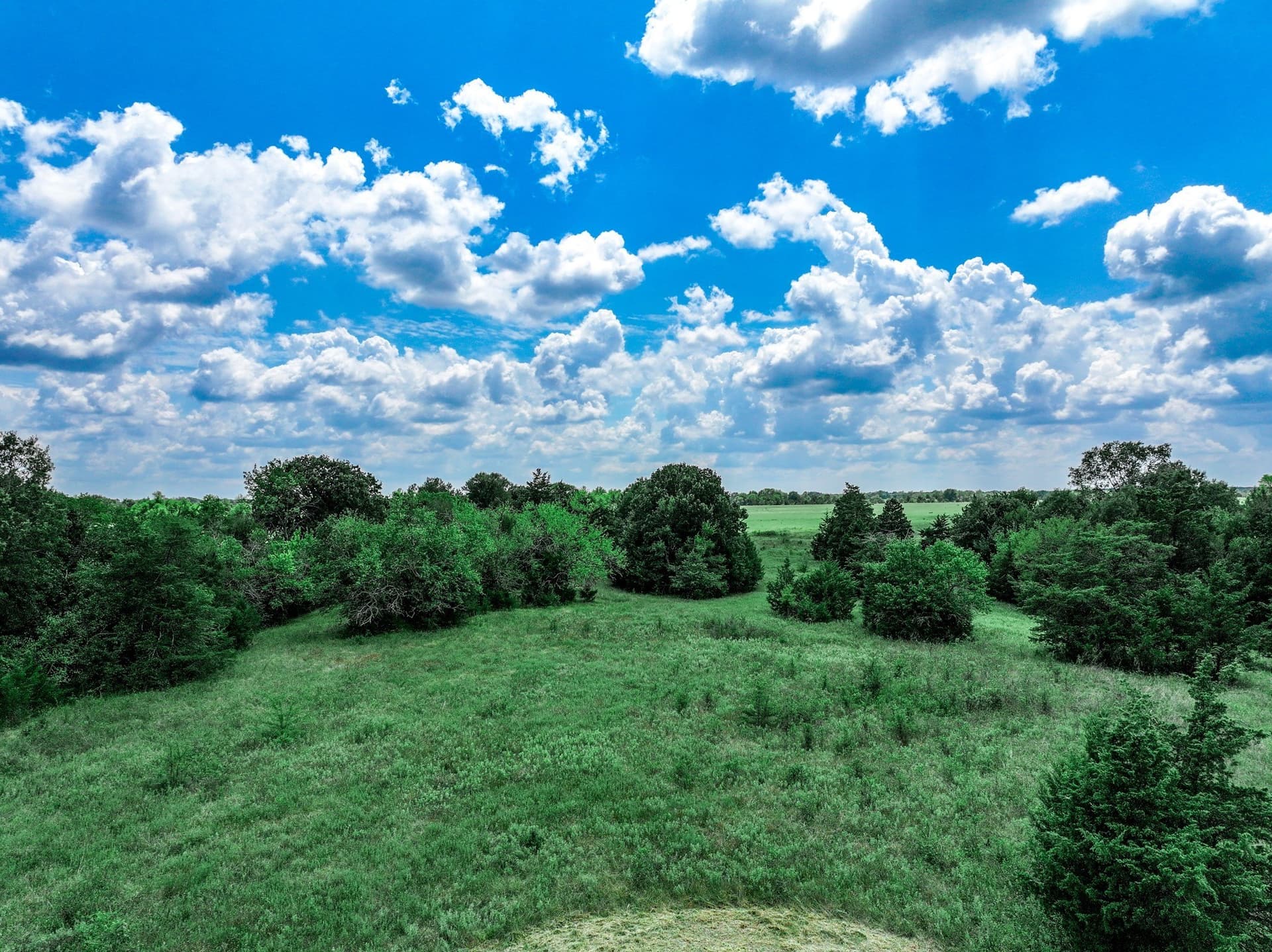 125 acres in Franklin (TX) County - photo 21