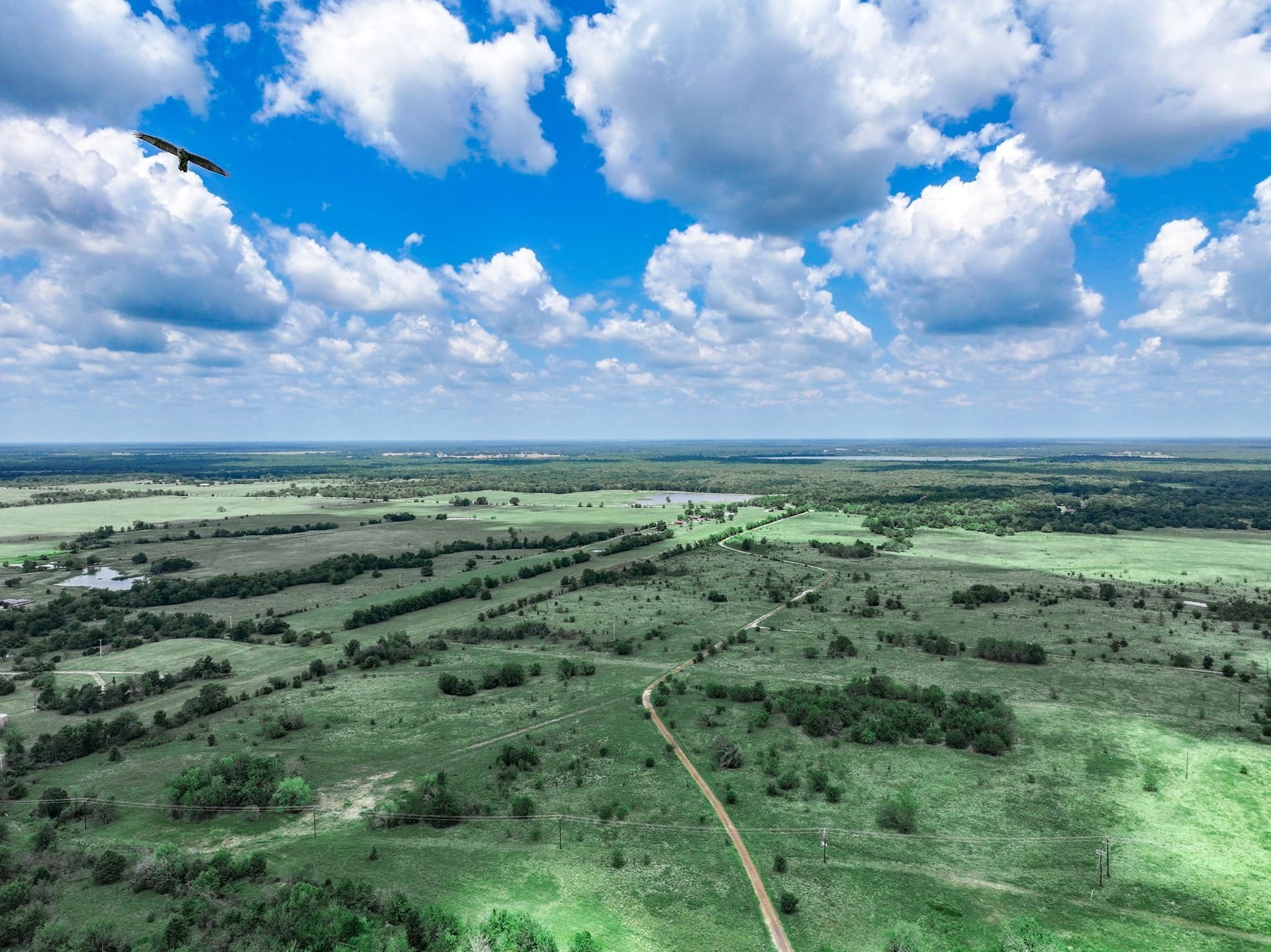 125 acres in Franklin (TX) County - photo 30
