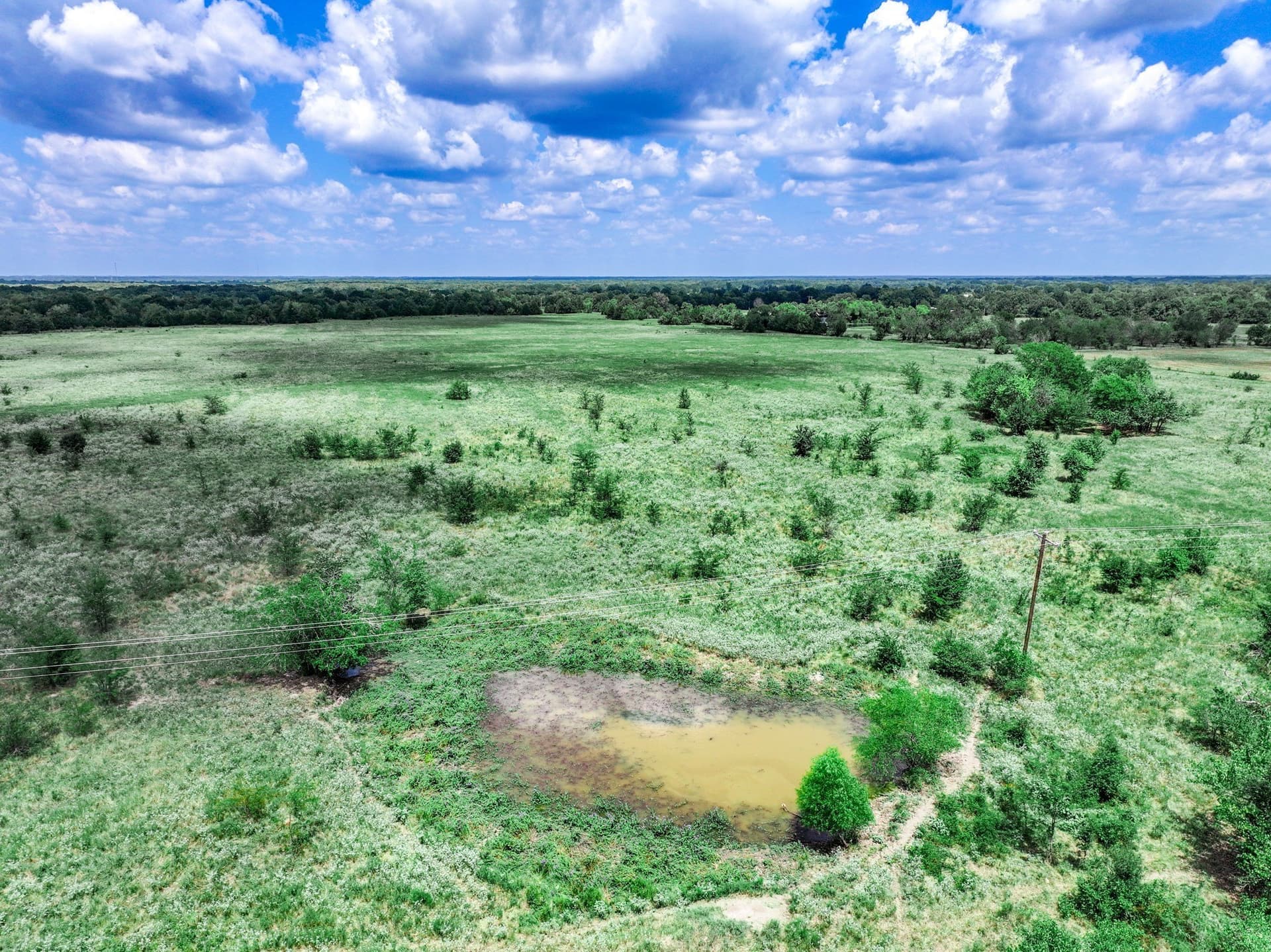 125 acres in Franklin (TX) County - photo 27