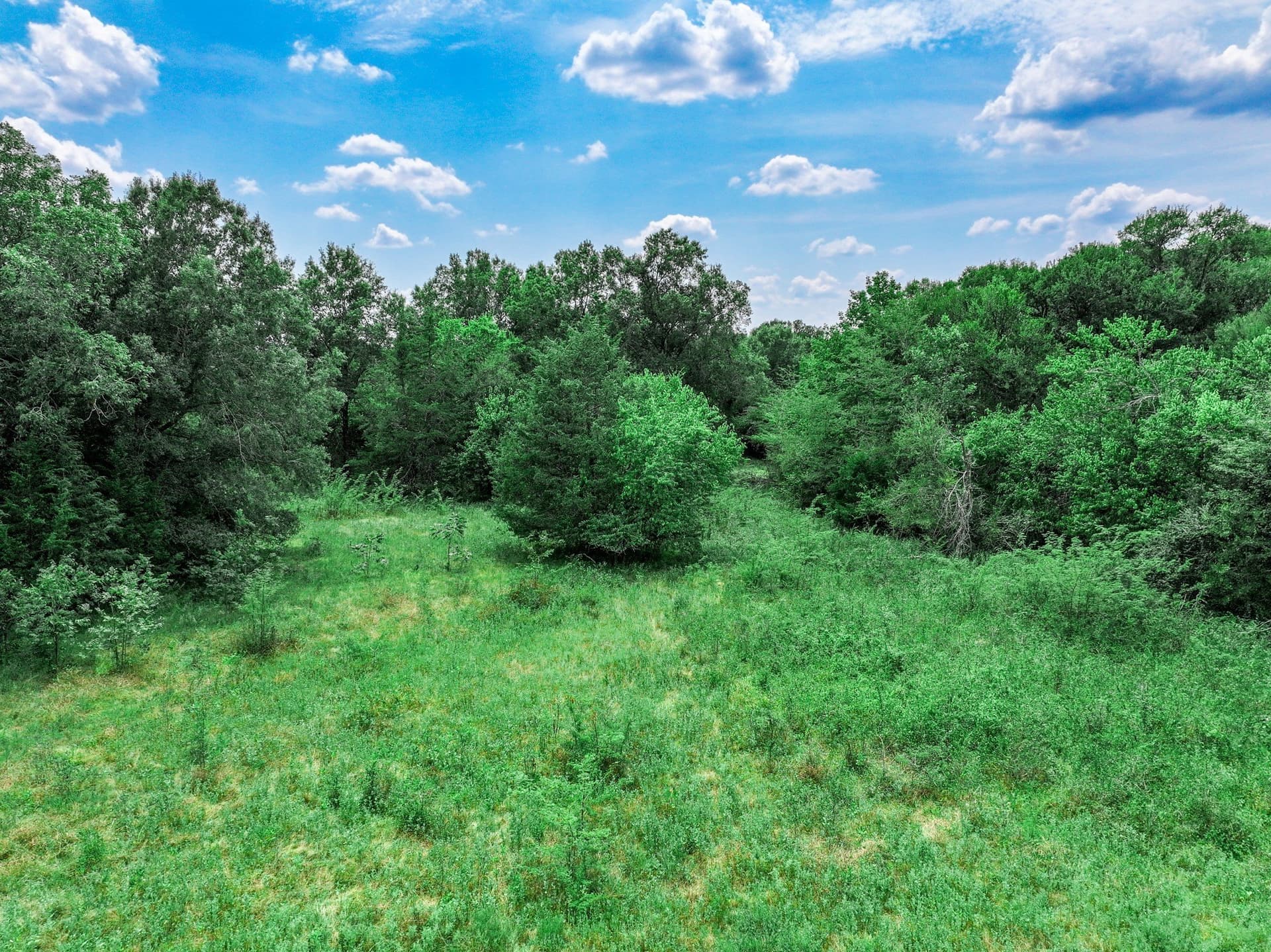 125 acres in Franklin (TX) County - photo 19