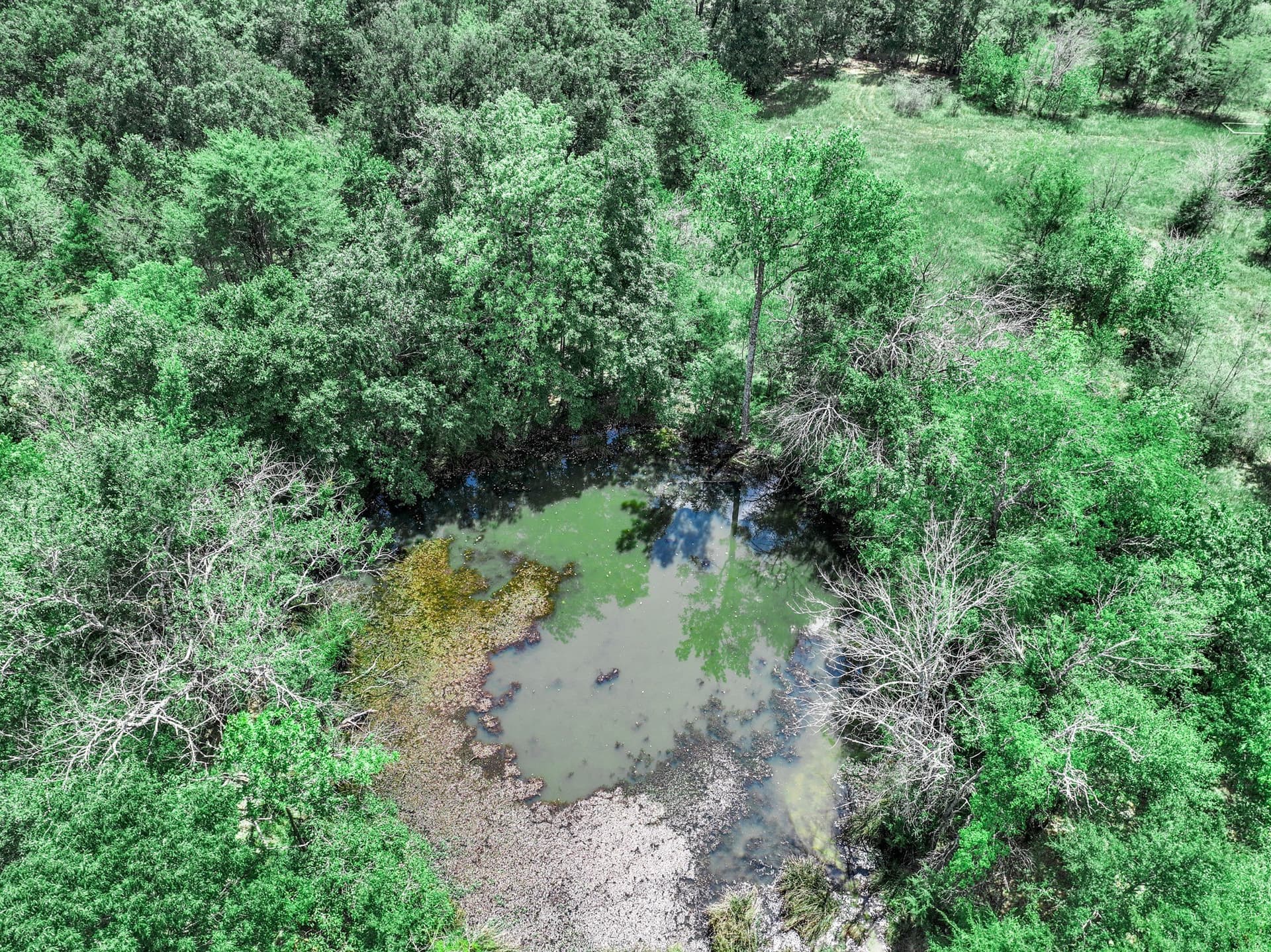 125 acres in Franklin (TX) County - photo 26