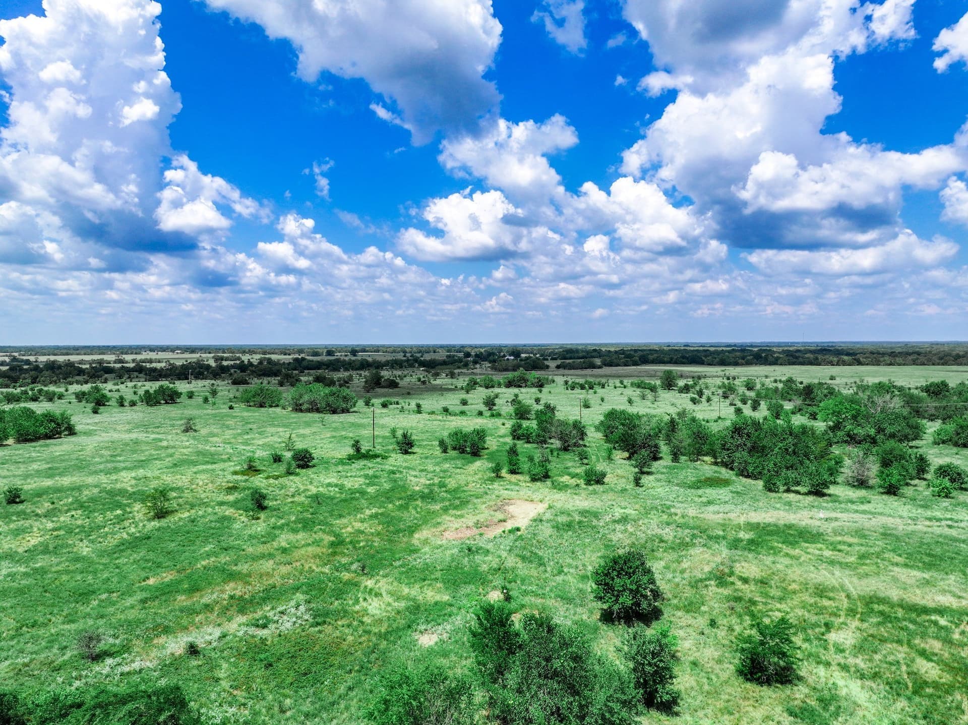 125 acres in Franklin (TX) County - photo 25