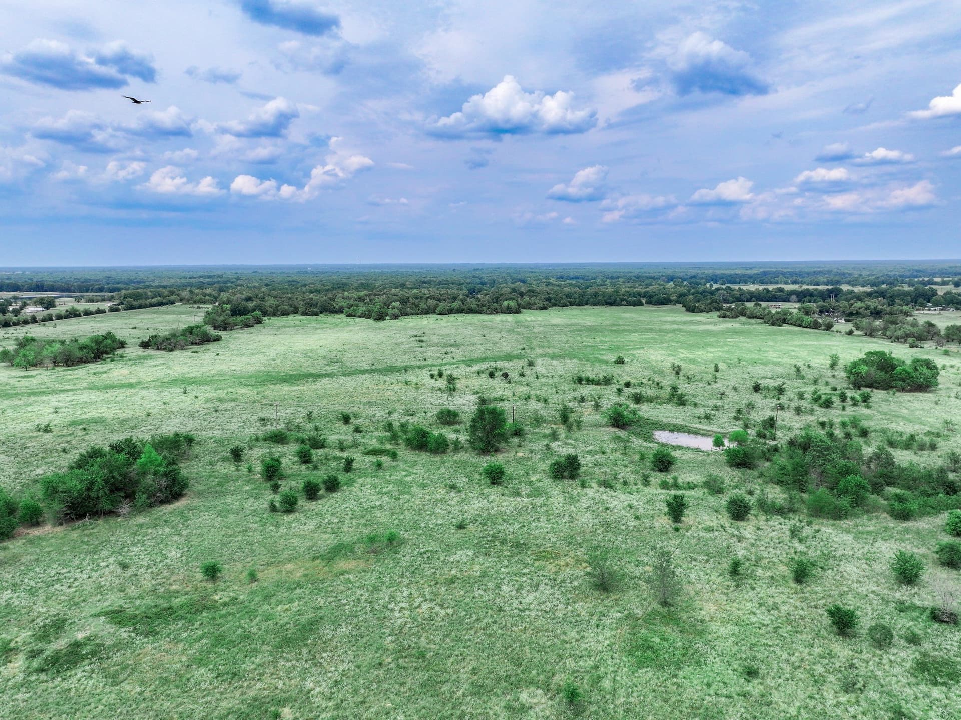 125 acres in Franklin (TX) County - photo 14