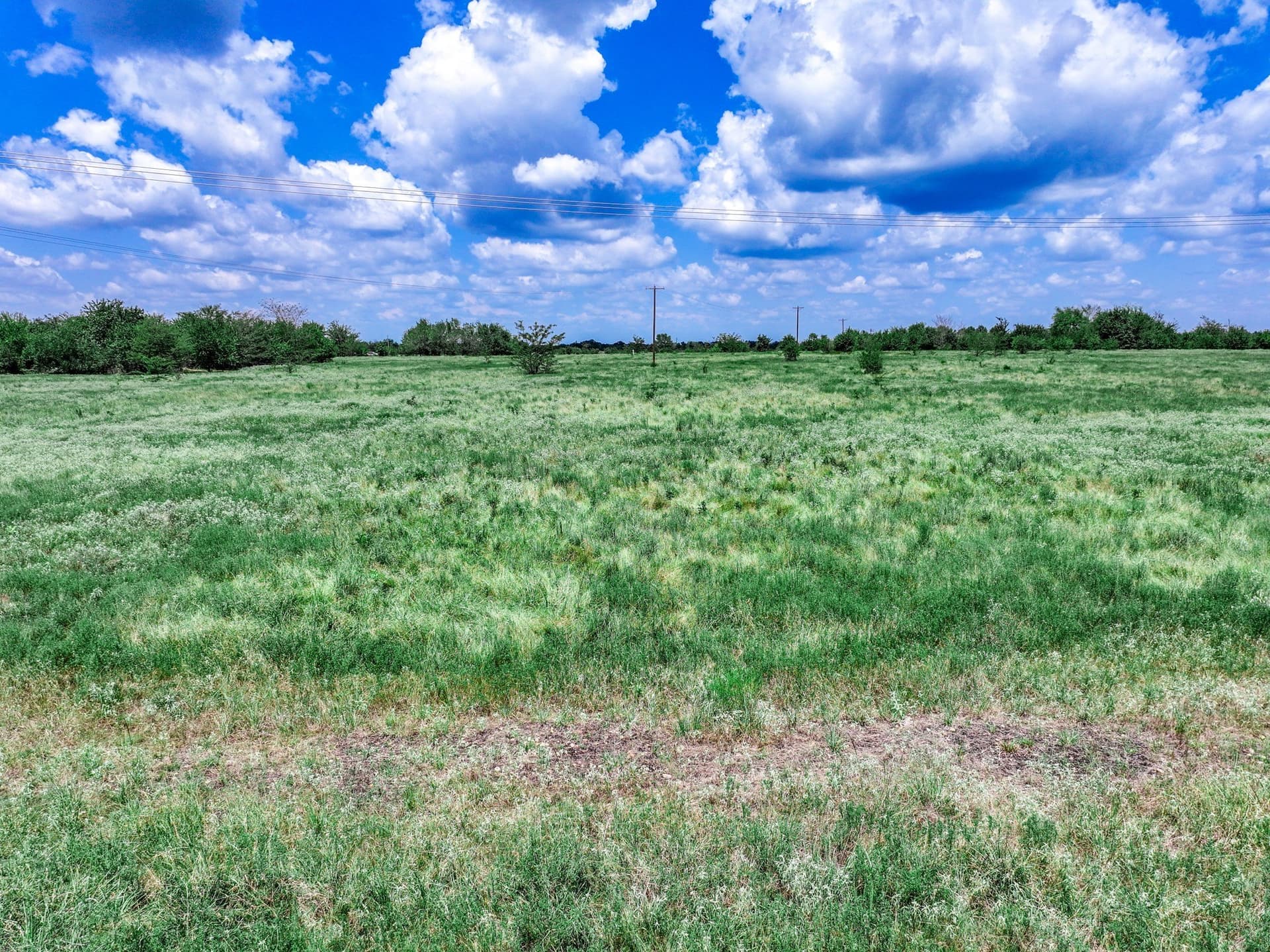 125 acres in Franklin (TX) County - photo 28