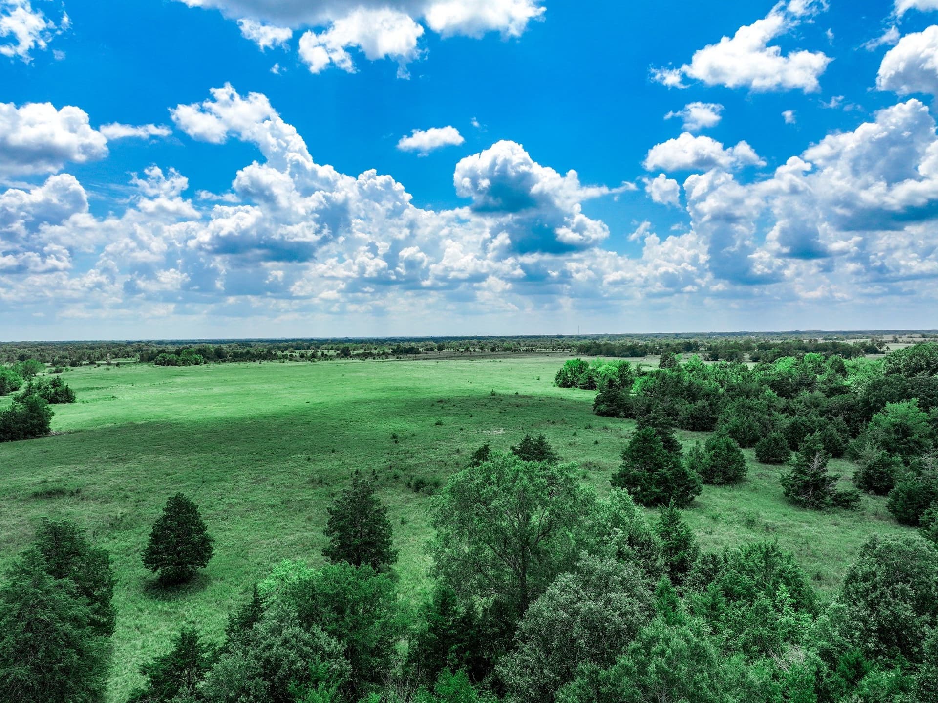 125 acres in Franklin (TX) County - photo 20