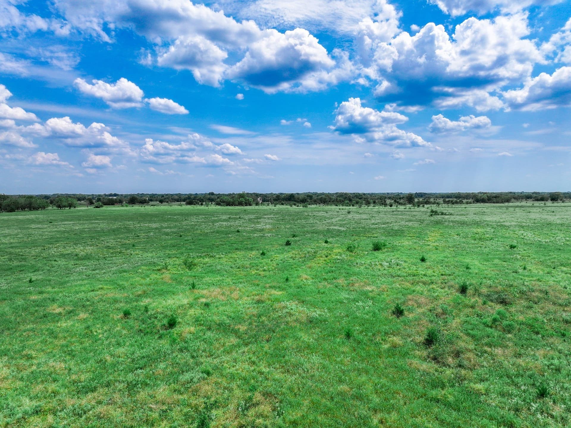 125 acres in Franklin (TX) County - photo 17