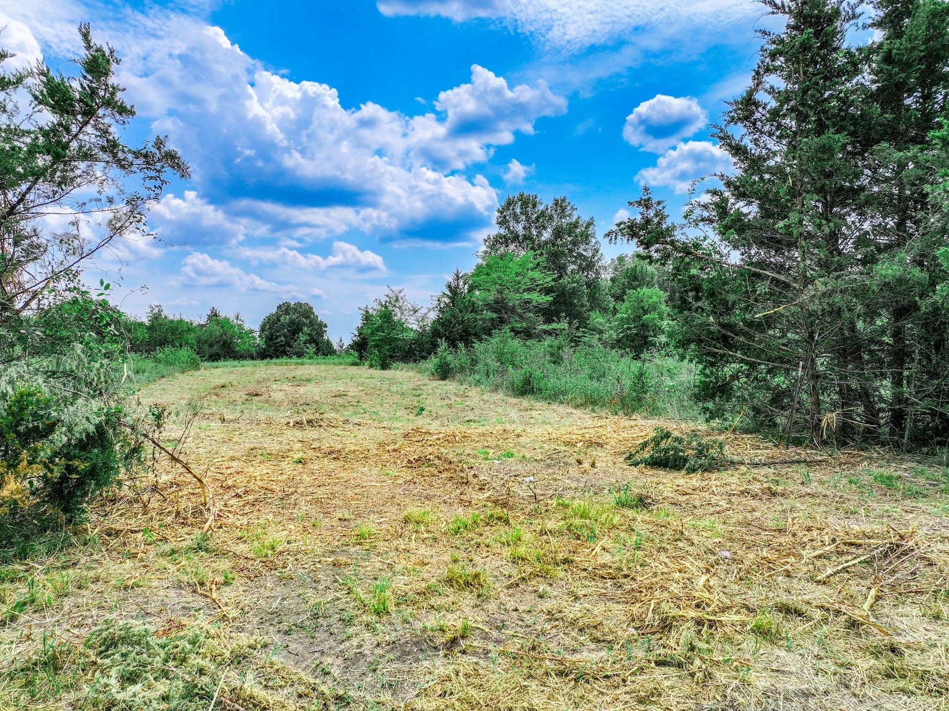 125 acres in Franklin (TX) County - photo 9