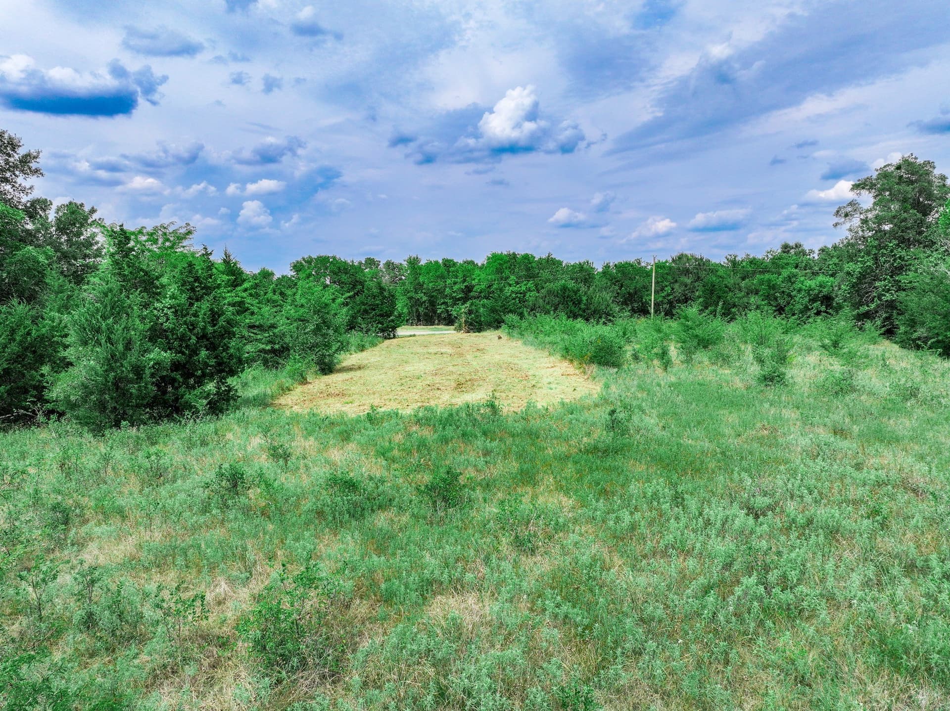 125 acres in Franklin (TX) County - photo 10