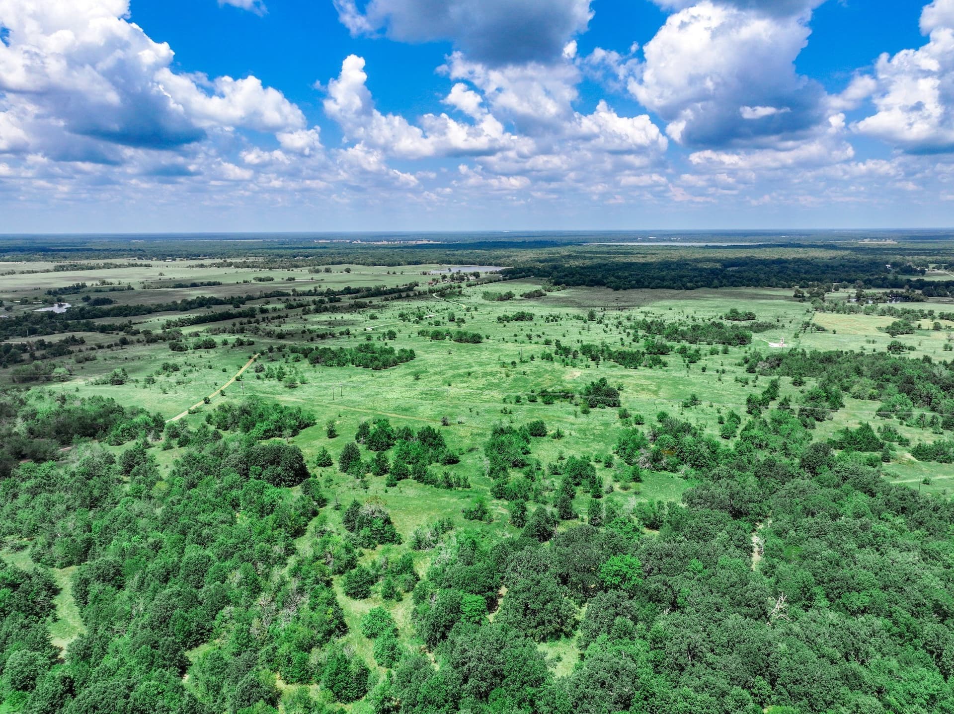 125 acres in Franklin (TX) County - photo 29