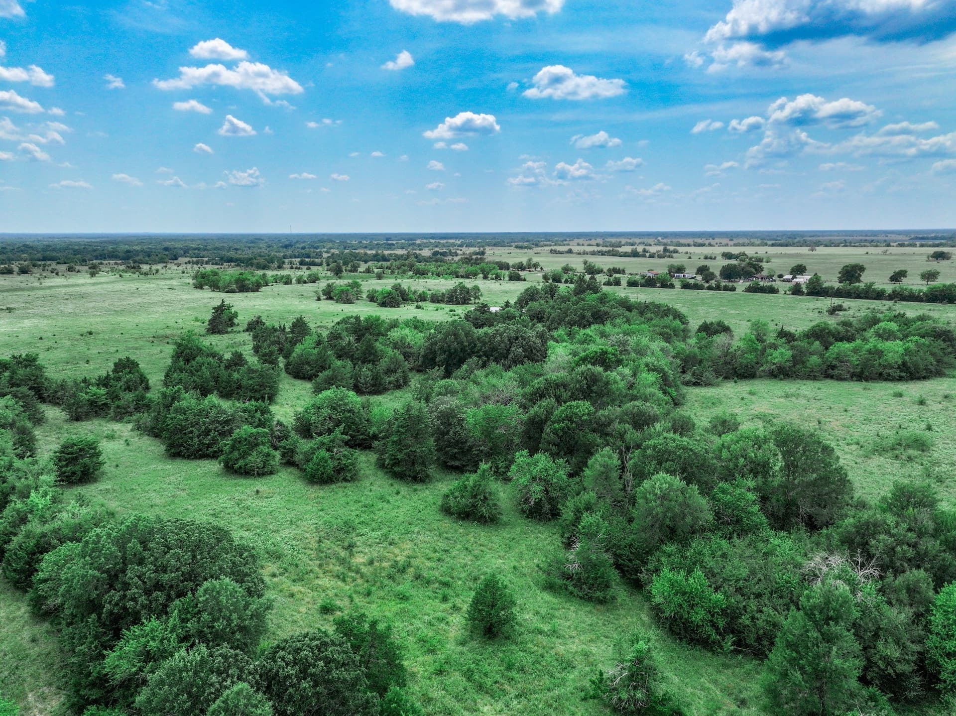 125 acres in Franklin (TX) County - photo 18