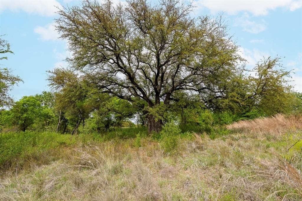 5.4 acres in Erath County gallery image 4