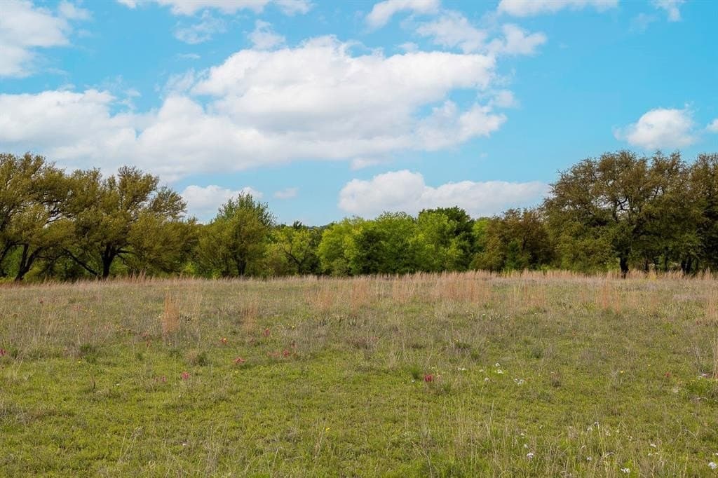 5.4 acres in Erath County gallery image 3