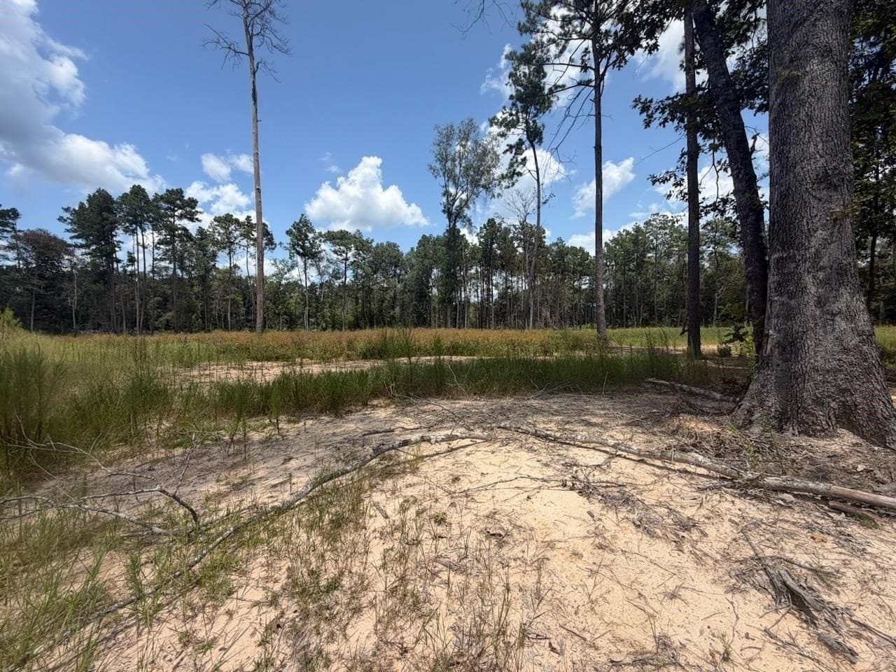 26.92 acres in Texas County - photo 9