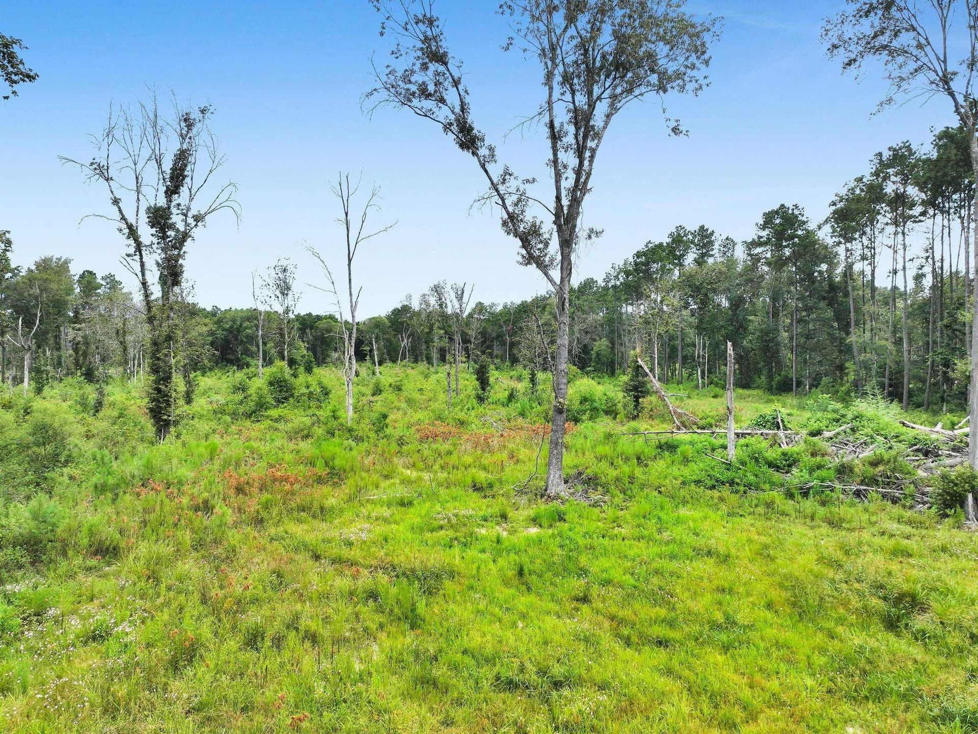 26.92 acres in Texas County - photo 13