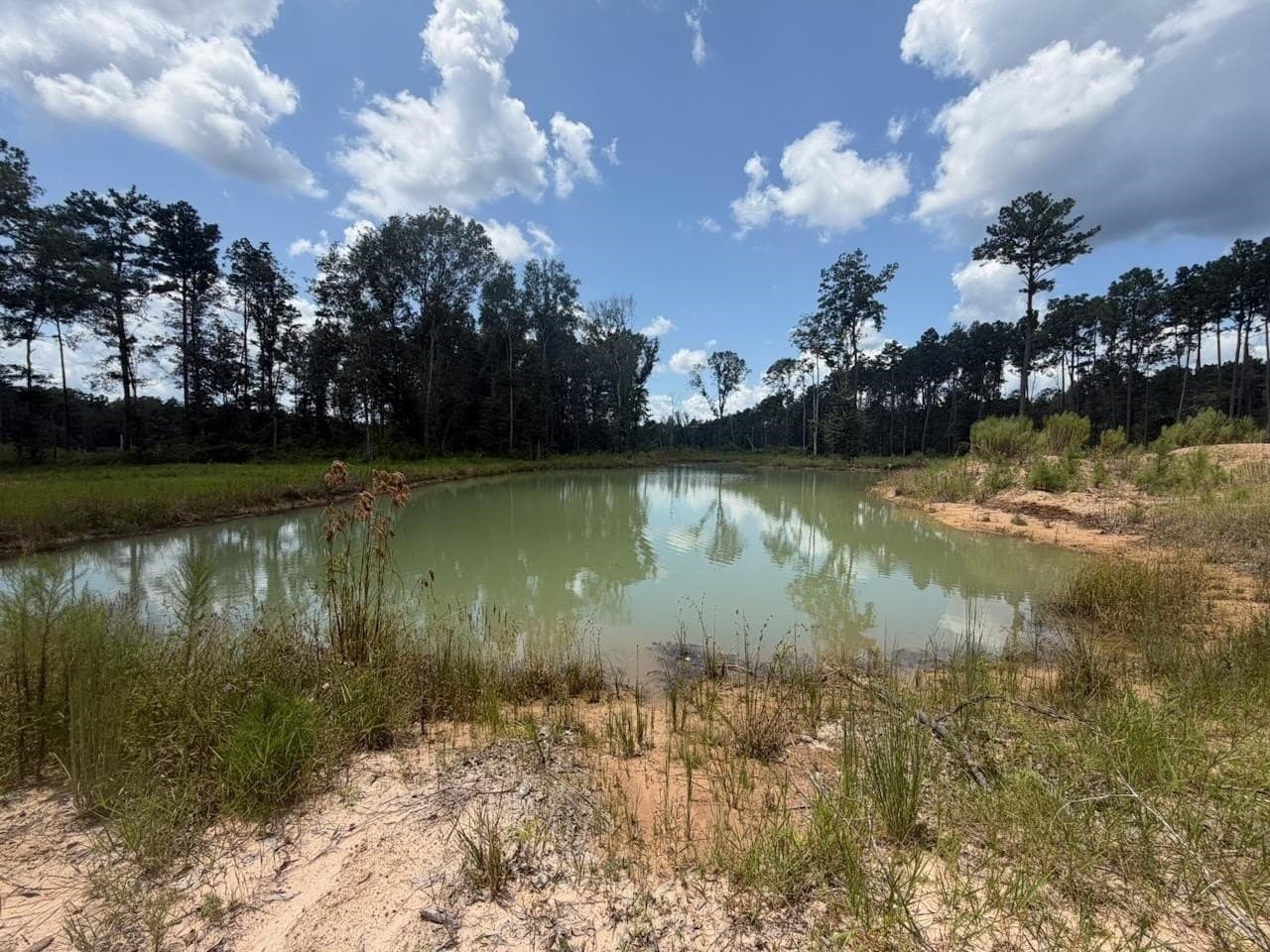 26.92 acres in Texas County - photo 7