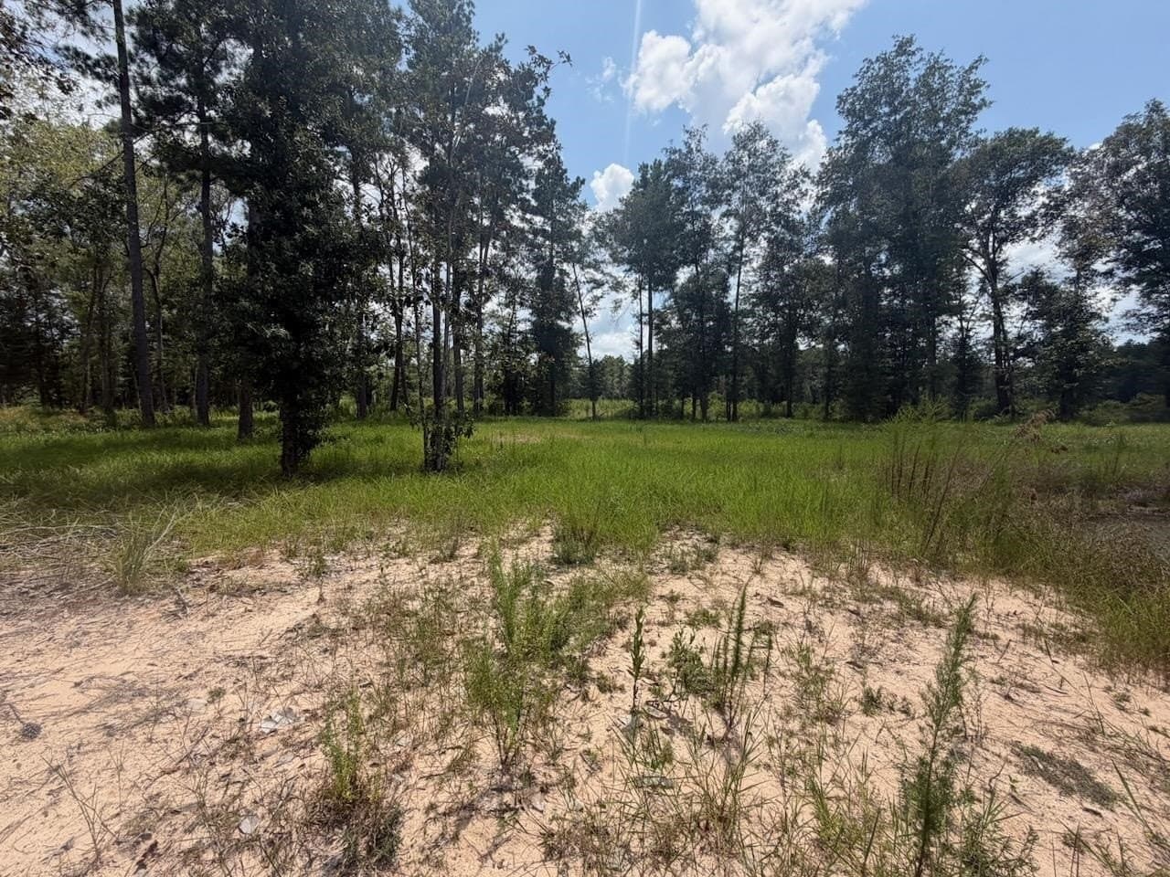 26.92 acres in Texas County - photo 8
