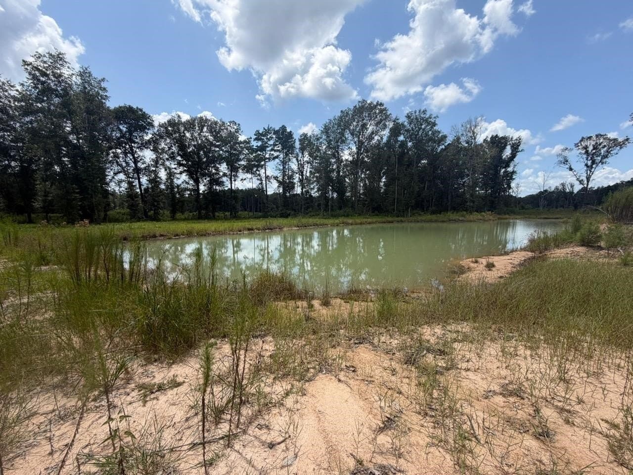 26.92 acres in Texas County - photo 5