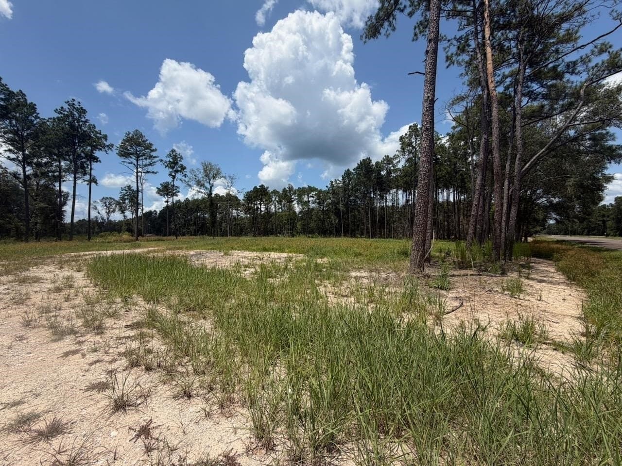 26.92 acres in Texas County - photo 4