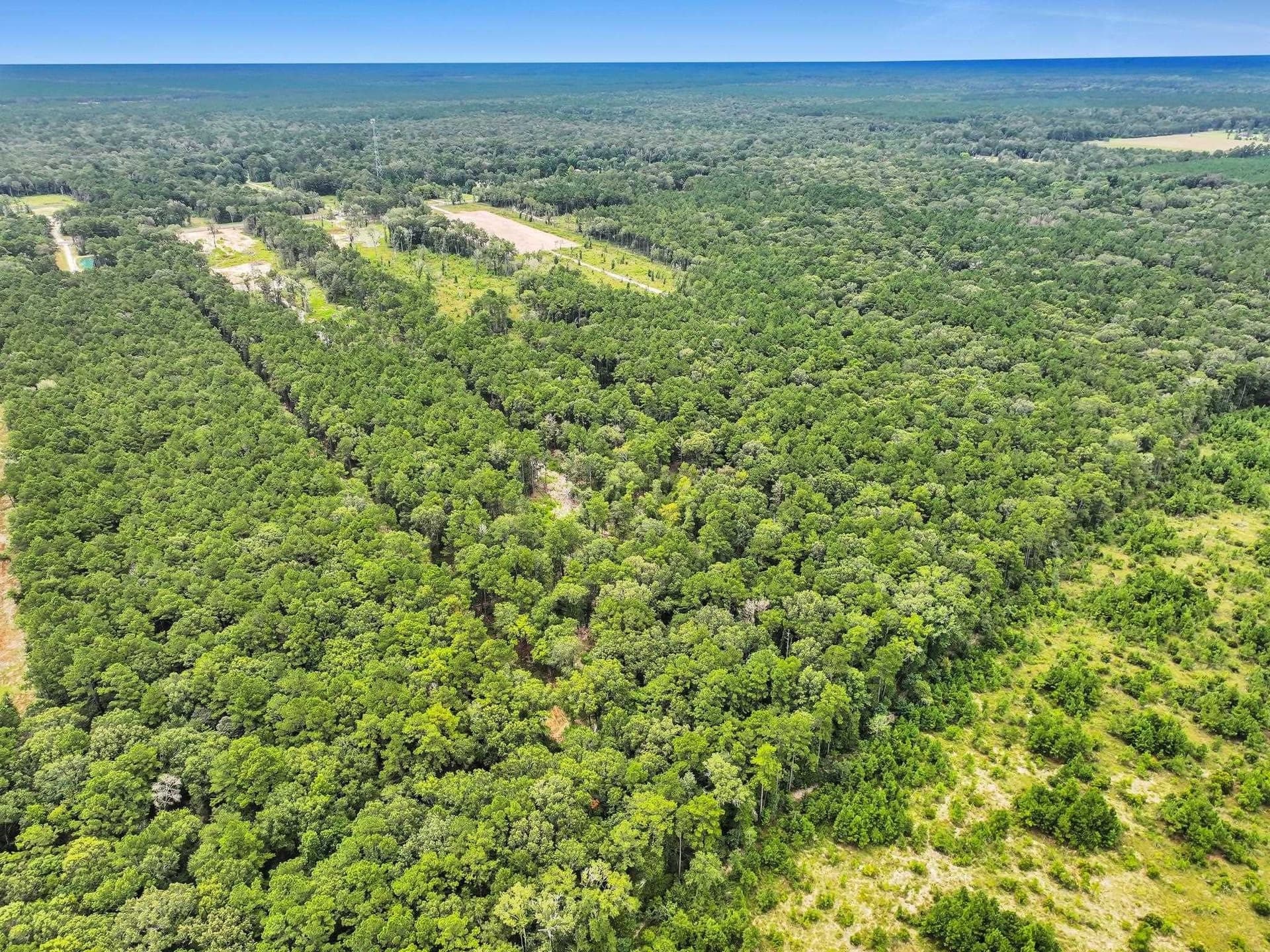 26.92 acres in Texas County - photo 8