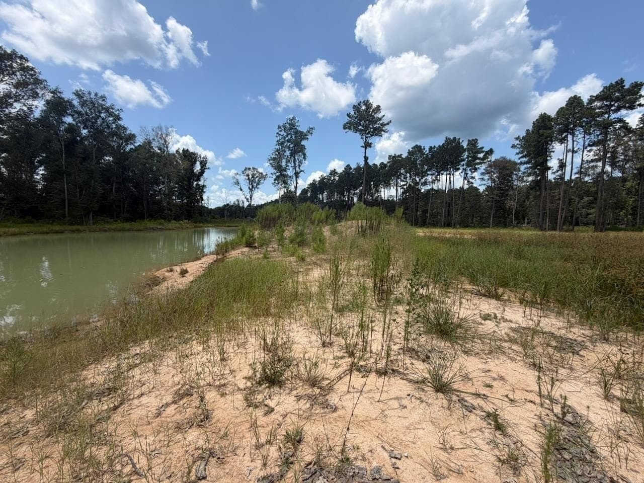 26.92 acres in Texas County - photo 6
