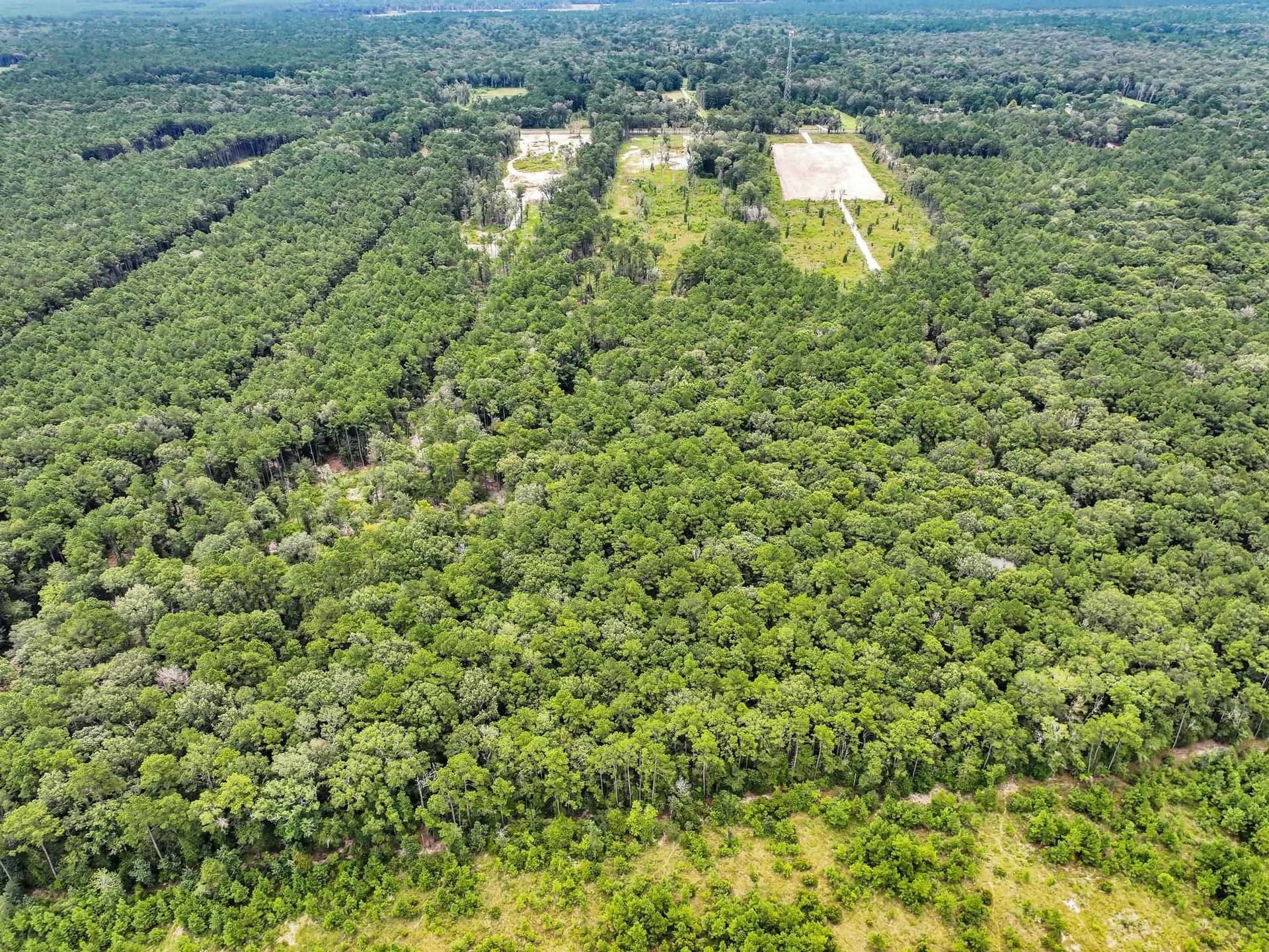 26.92 acres in Texas County - photo 5