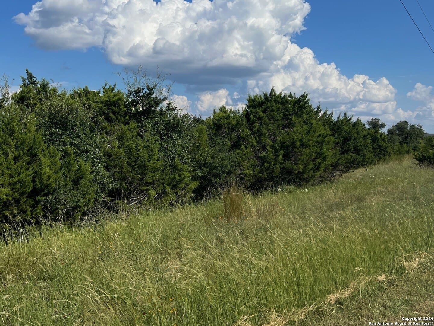 3 acres in Comal County - photo 6