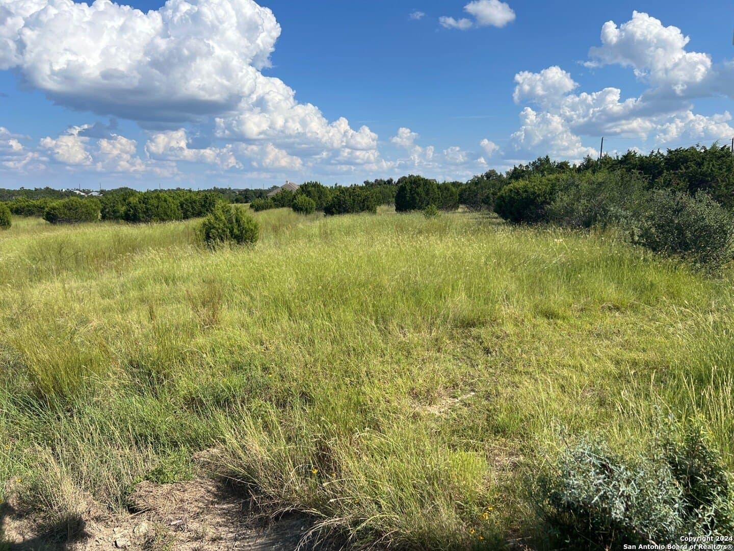 3 acres in Comal County gallery image 3