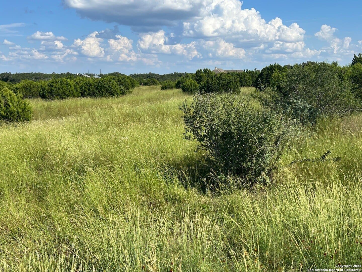 3 acres in Comal County featured view