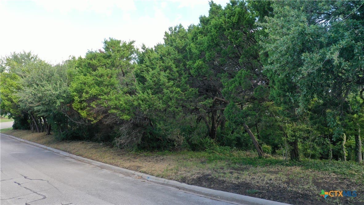 0.37 acres in Bell County gallery image 2