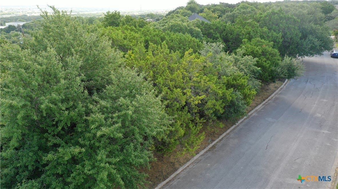 0.37 acres in Bell County - photo 6