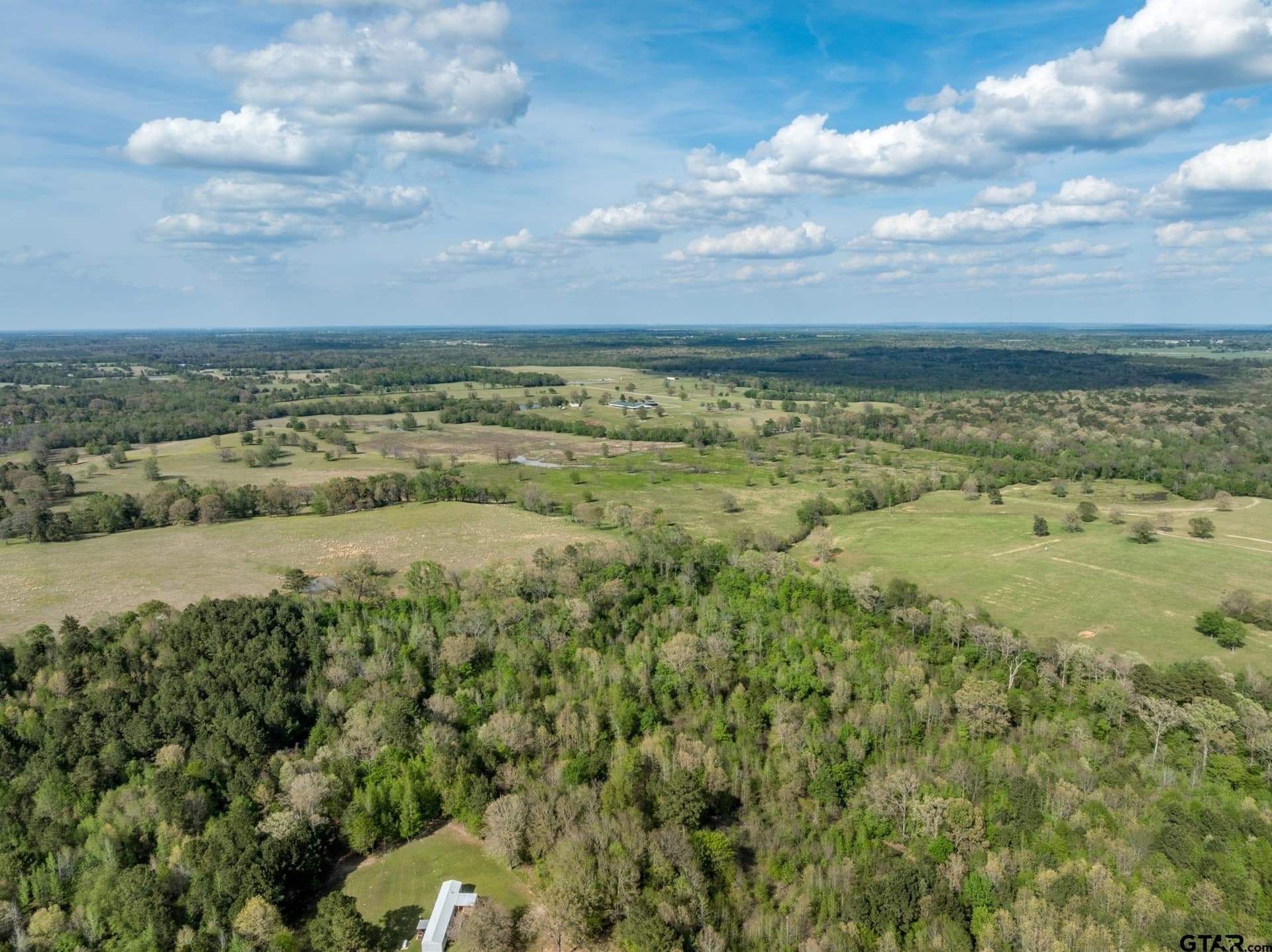 19.78 acres in Upshur County gallery image 3
