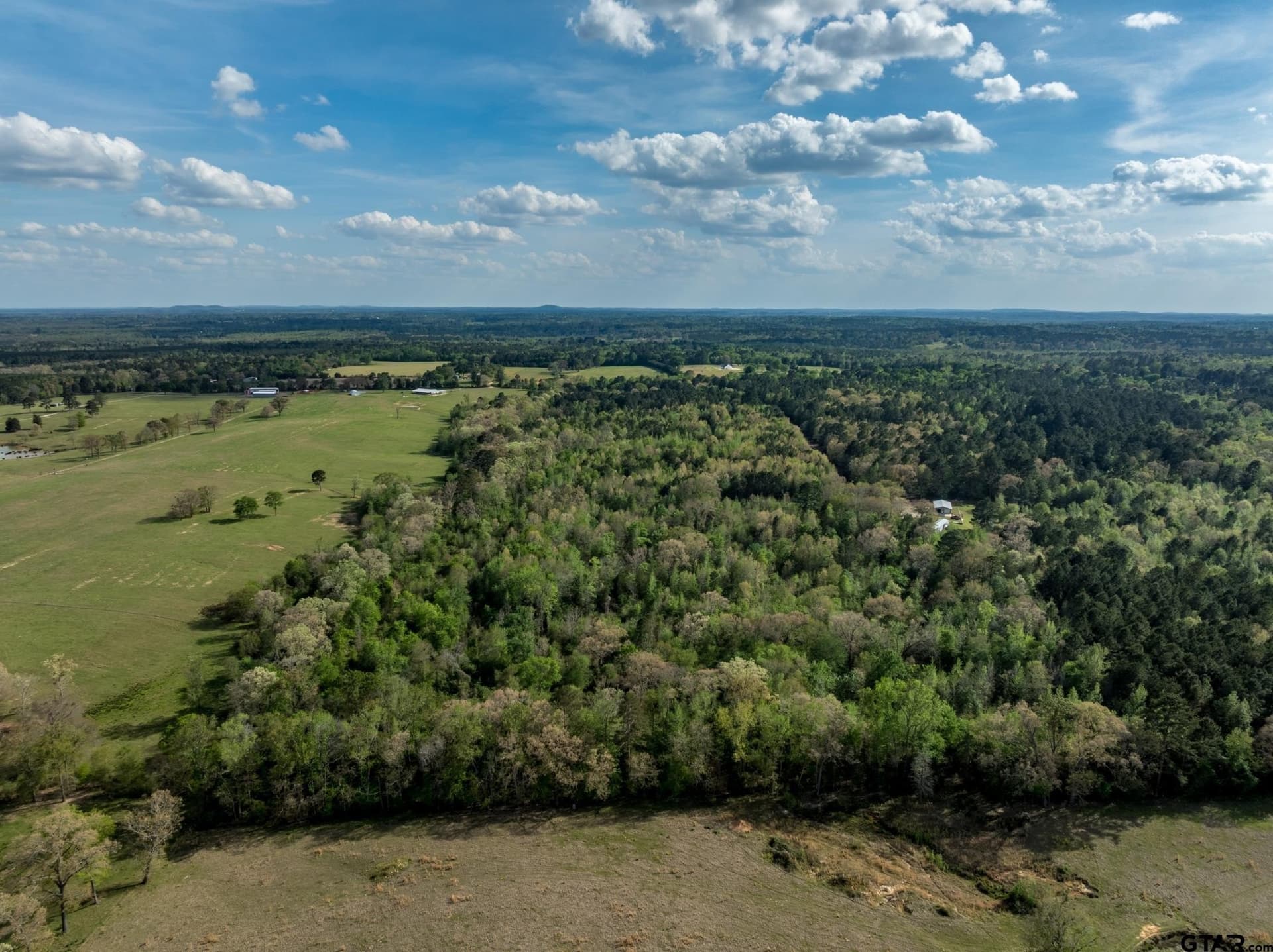 19.78 acres in Upshur County gallery image 2