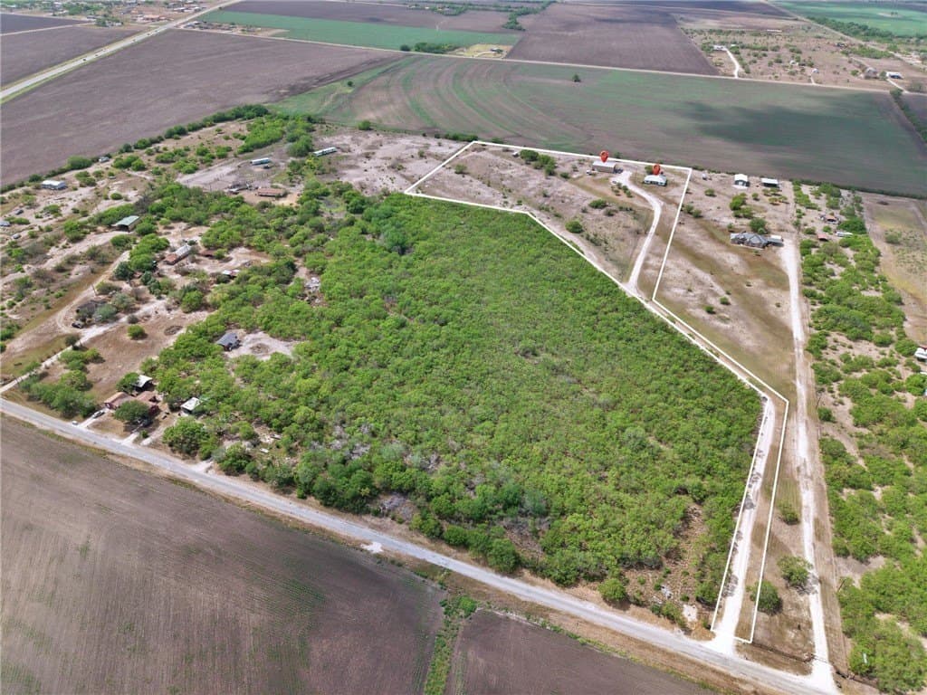 10.3 acres in Jim Wells County gallery image 3