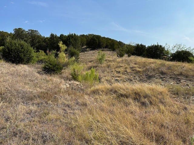 2 acres in Palo Pinto County - photo 4
