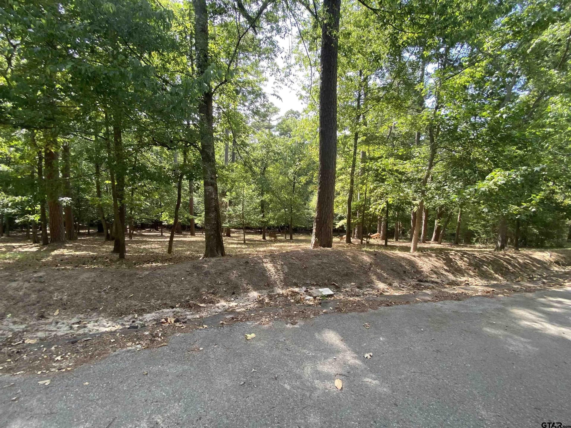 0.49 acres in Wood County featured view