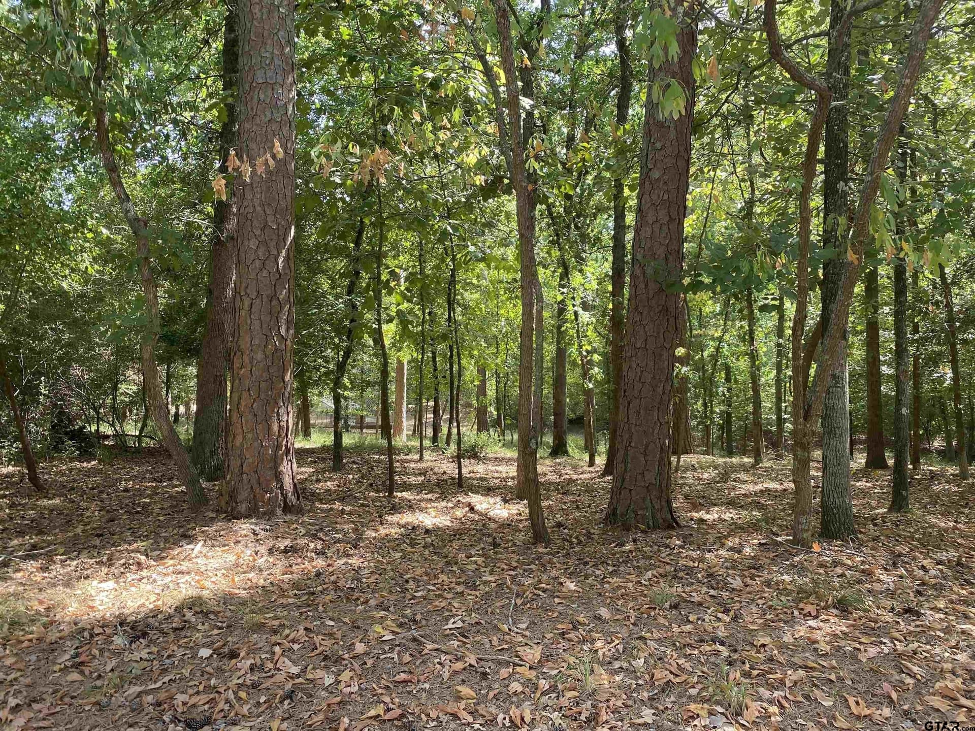 0.49 acres in Wood County