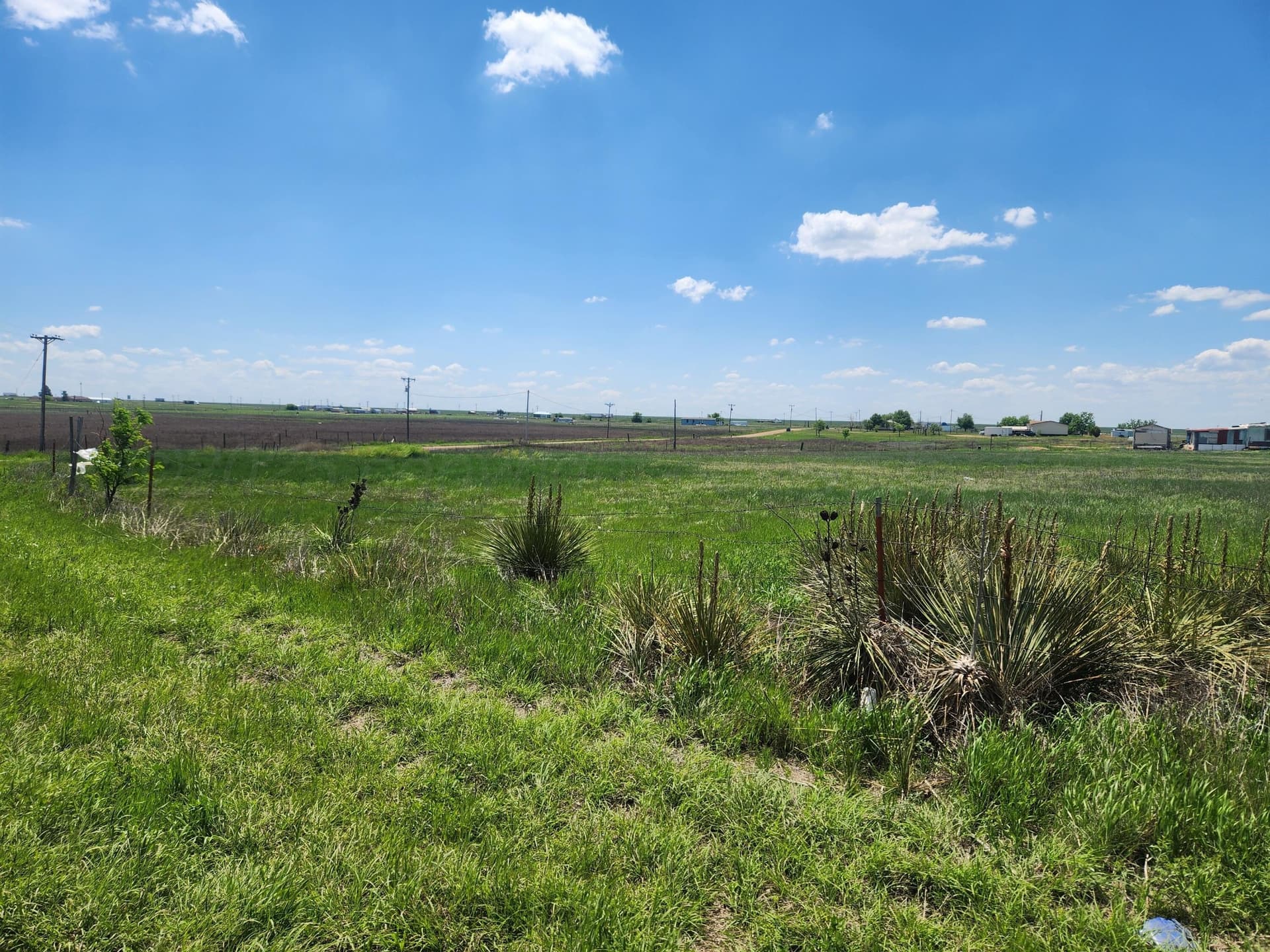 6.09 acres in Carson County gallery image 3