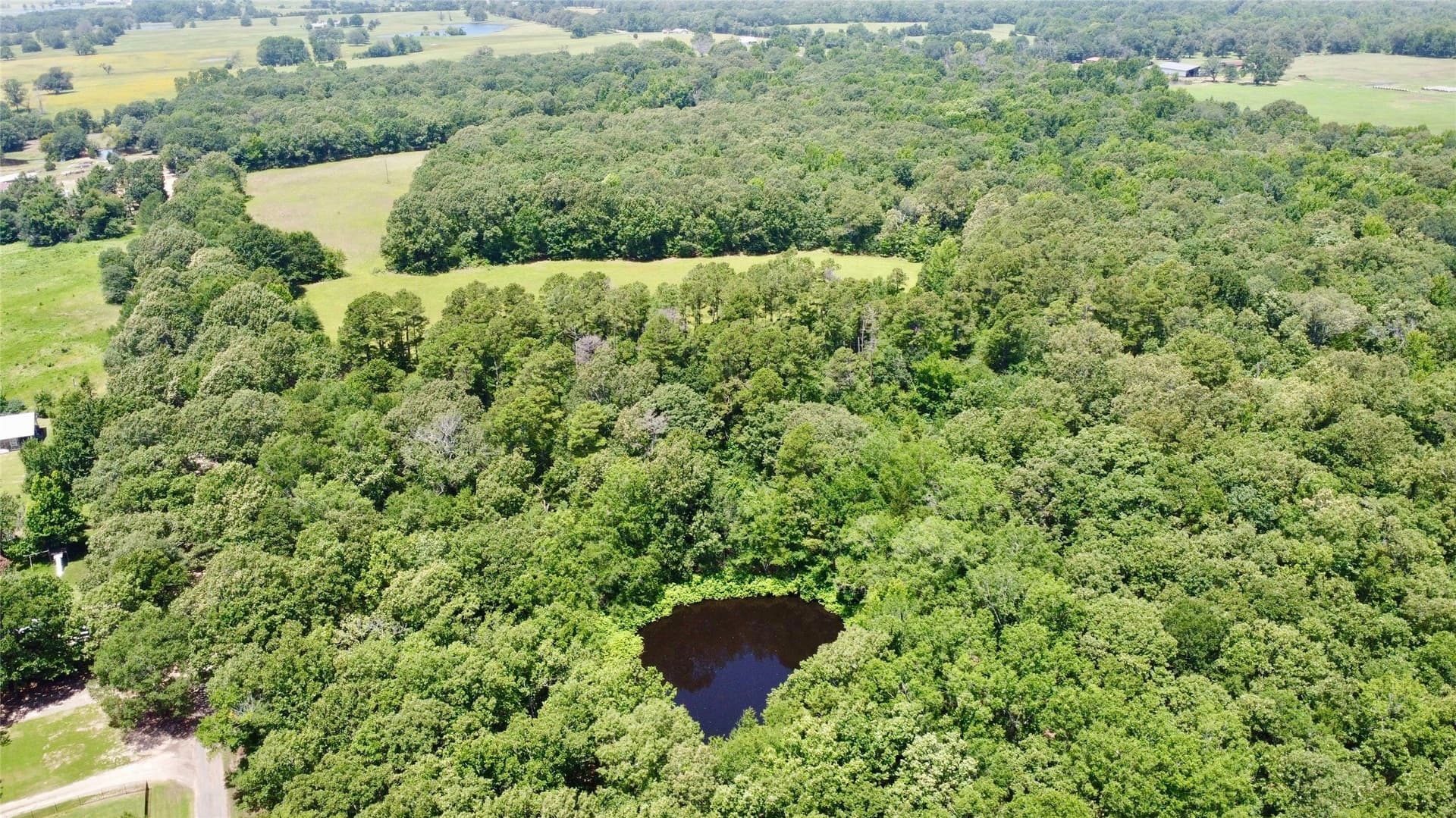 27.04 acres in Lamar County - photo 7