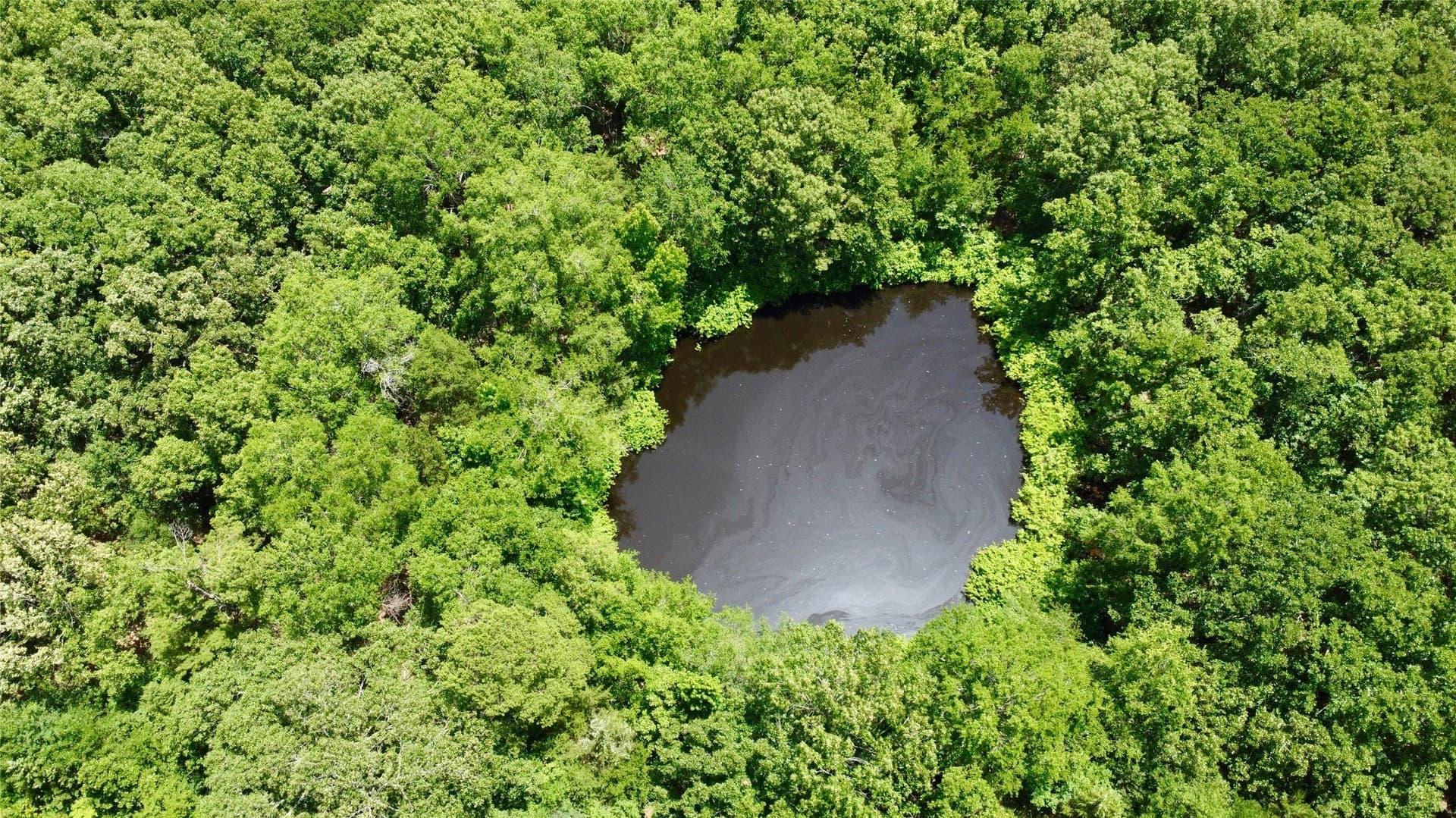 27.04 acres in Lamar County - photo 5