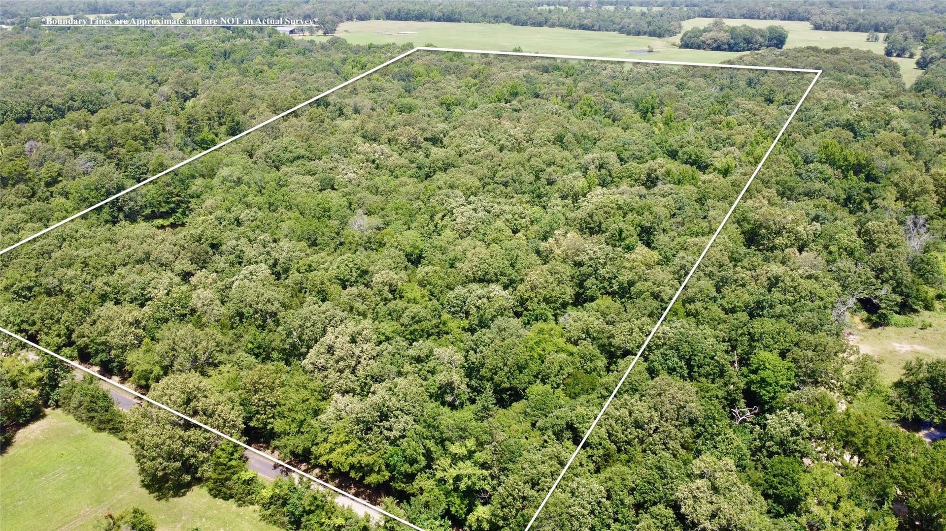 27.04 acres in Lamar County - photo 3
