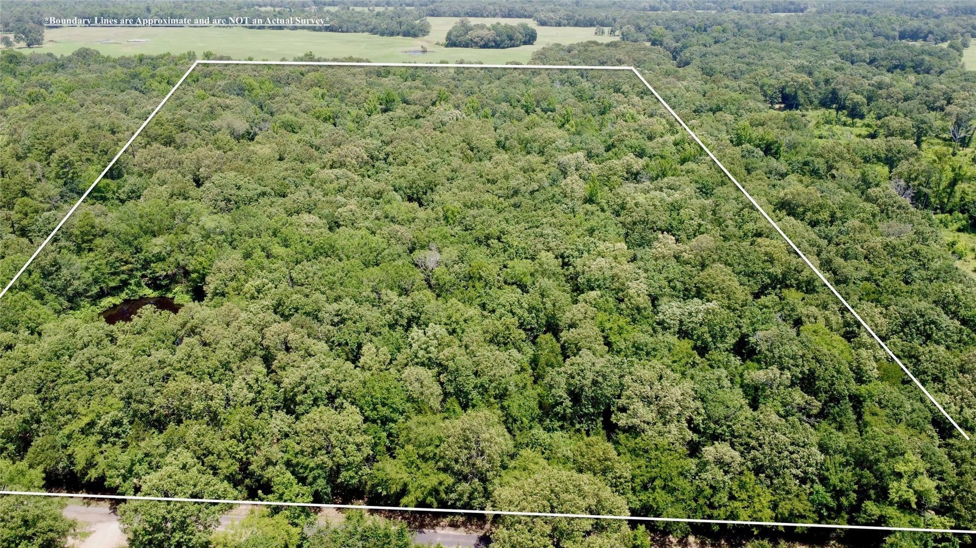 27.04 acres in Lamar County - photo 4