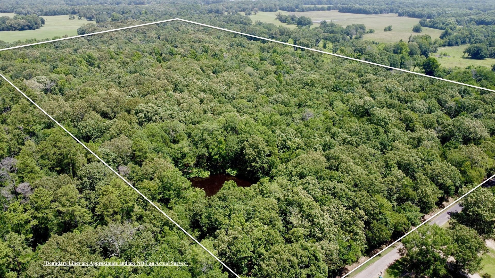 27.04 acres in Lamar County