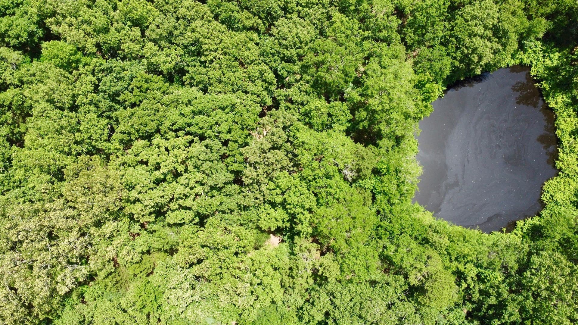 27.04 acres in Lamar County - photo 6