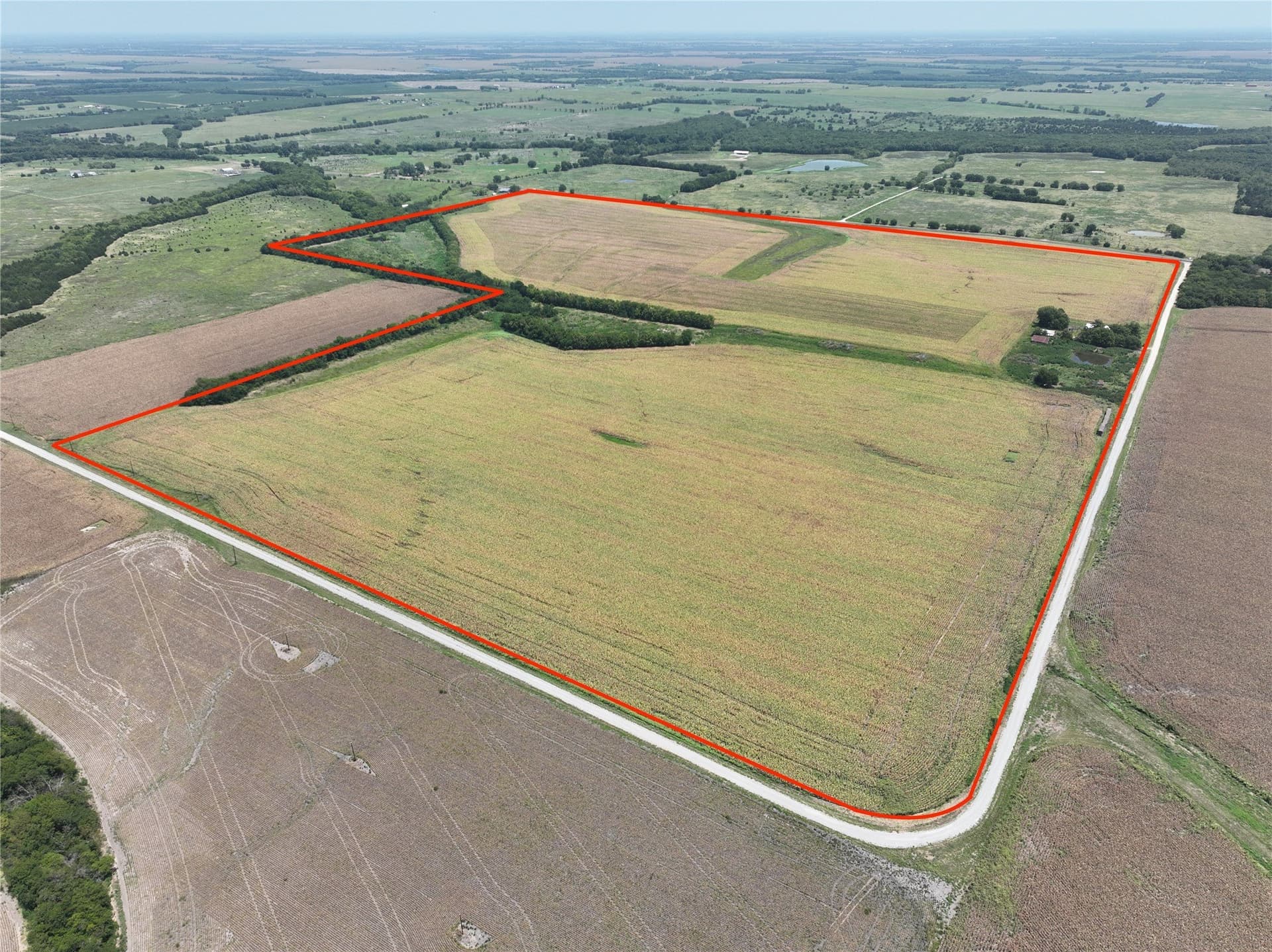 370.85 acres in Lamar County gallery image 2