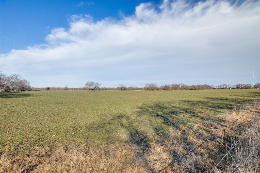112.87 acres in Collin County gallery image 4