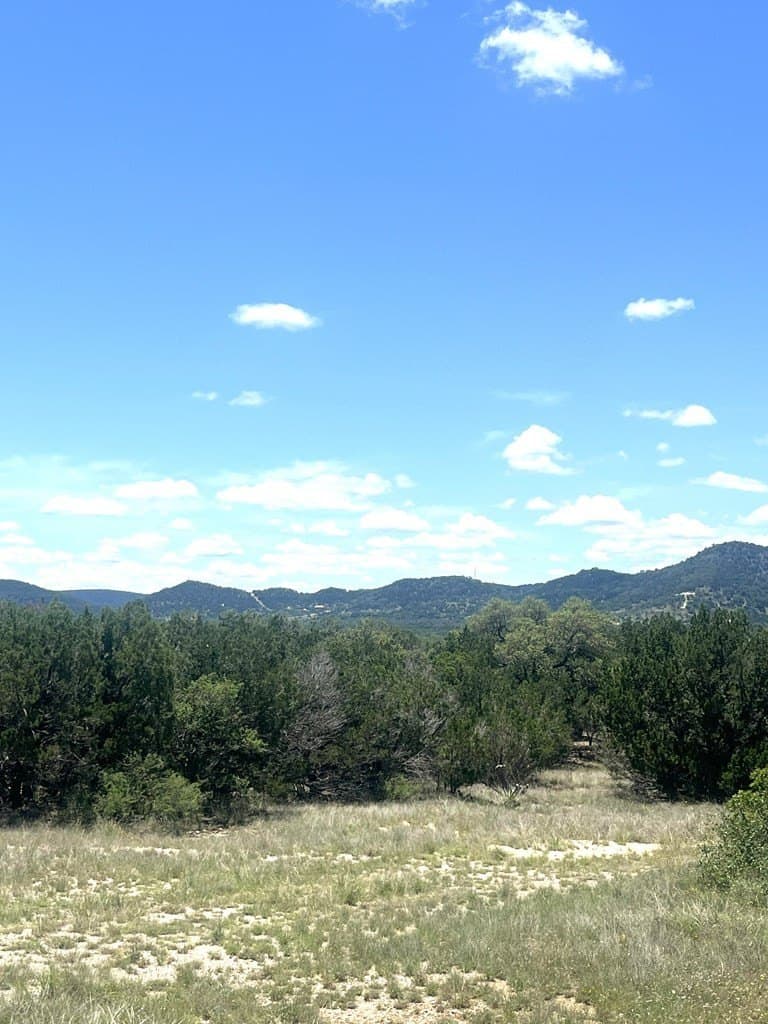 8.92 acres in Uvalde County - photo 16